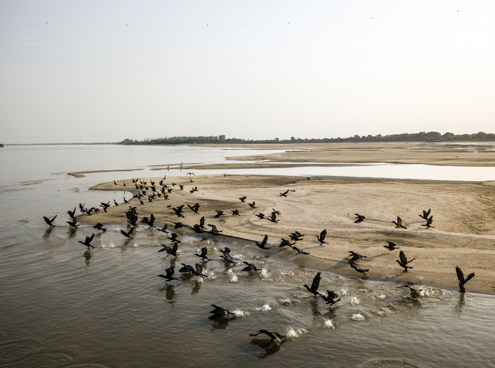 Paraguay River Photo Gallery